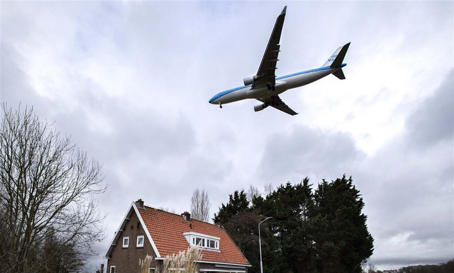 Vliegreizen naar Den Haag vanuit de hele wereld